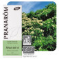 Aceite esencial Árbol del Té Bio Pranarom 10 ml.