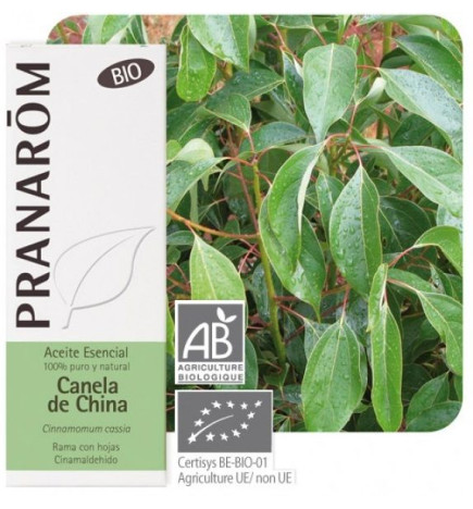 Aceite esencial Canela de China Pranarom 10 ml.