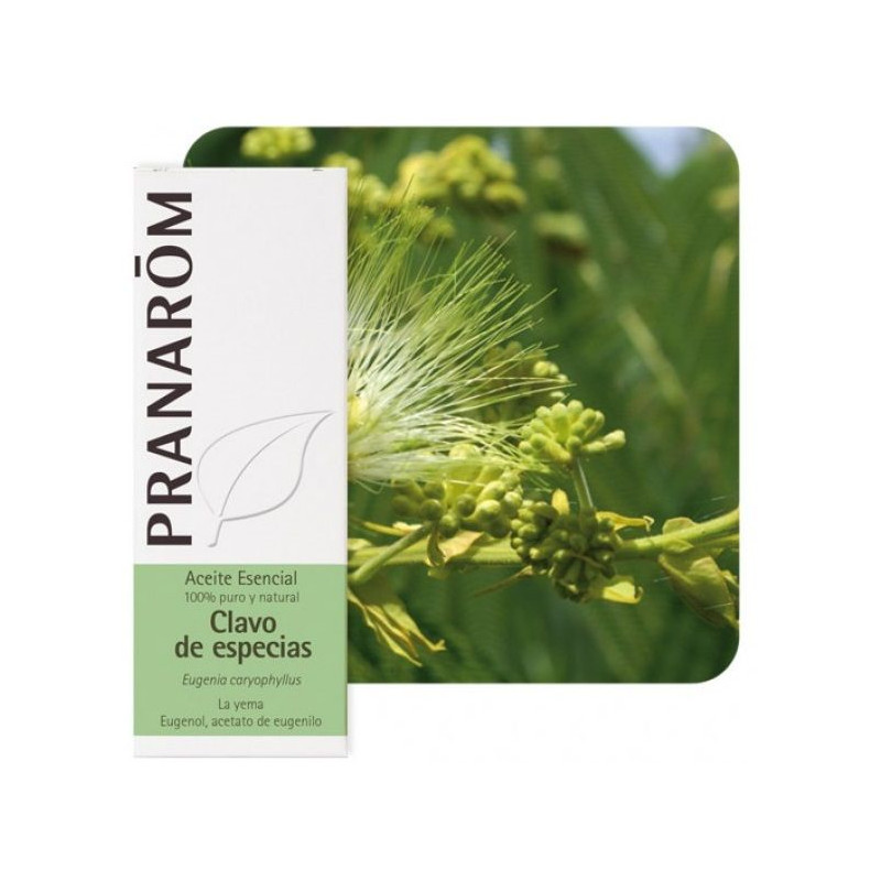 Aceite esencial Clavo de Especias Pranarom 10 ml.