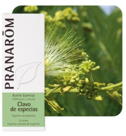 Aceite esencial Clavo de Especias Pranarom 10 ml.