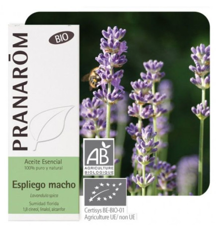 Aceite esencial Espliego Macho Bio Pranarom 10 ml.