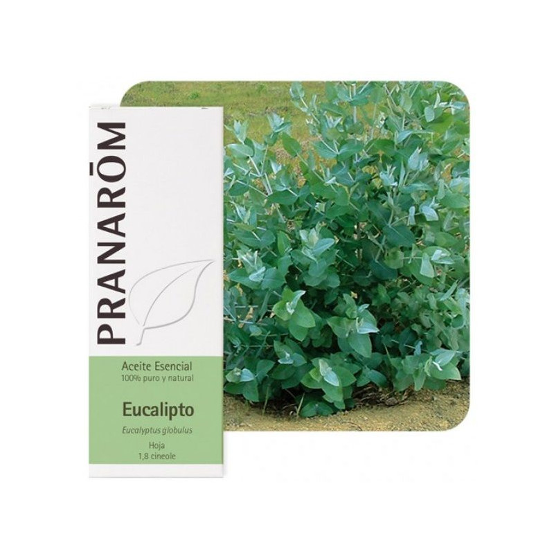 Aceite esencial Eucalipto Bio Pranarom 10 ml.