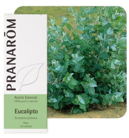 Aceite esencial Eucalipto Bio Pranarom 10 ml.