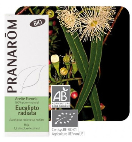 Aceite esencial Eucalipto Radiata Bio Pranarom 10 ml.