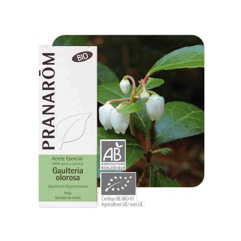 Aceite esencial Gaulteria Olorosa Bio Pranarom 10 ml.