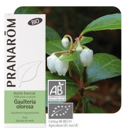 Aceite esencial Gaulteria Olorosa Bio Pranarom 10 ml.