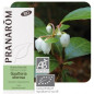 Aceite esencial Gaulteria Olorosa Bio Pranarom 10 ml.