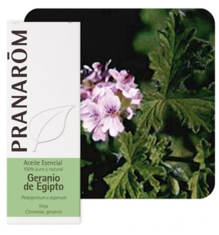 Aceite esencial Geranio de Egipto Pranarom 10 ml.