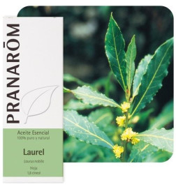 Aceite esencial Laurel Pranarom 5 ml.