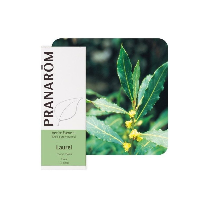 Aceite esencial Laurel Pranarom 5 ml.