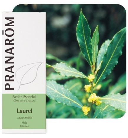 Aceite esencial Laurel Pranarom 5 ml.