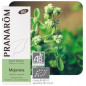 Aceite esencial Mejorana Bio Pranarom 5 ml.