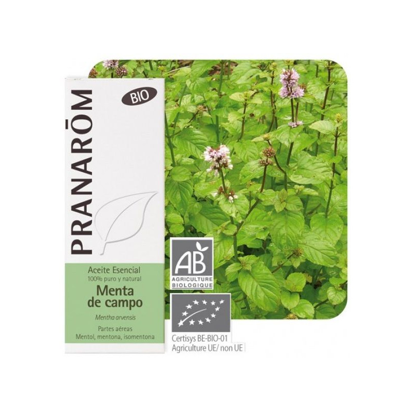 Aceite esencial Menta de Campo Bio Pranarom 10 ml.