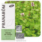 Aceite esencial Menta de Campo Bio Pranarom 10 ml.