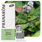 Aceite esencial Menta Piperita Pranarom 10 ml.