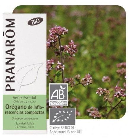 Aceite esencial Orégano de inflorescencias compactas Pranarom 10 ml.