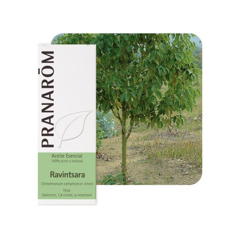 Aceite esencial Ravintsara Pranarom 10 ml.