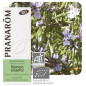 Aceite esencial Romero Alcanfor Pranarom 10 ml.