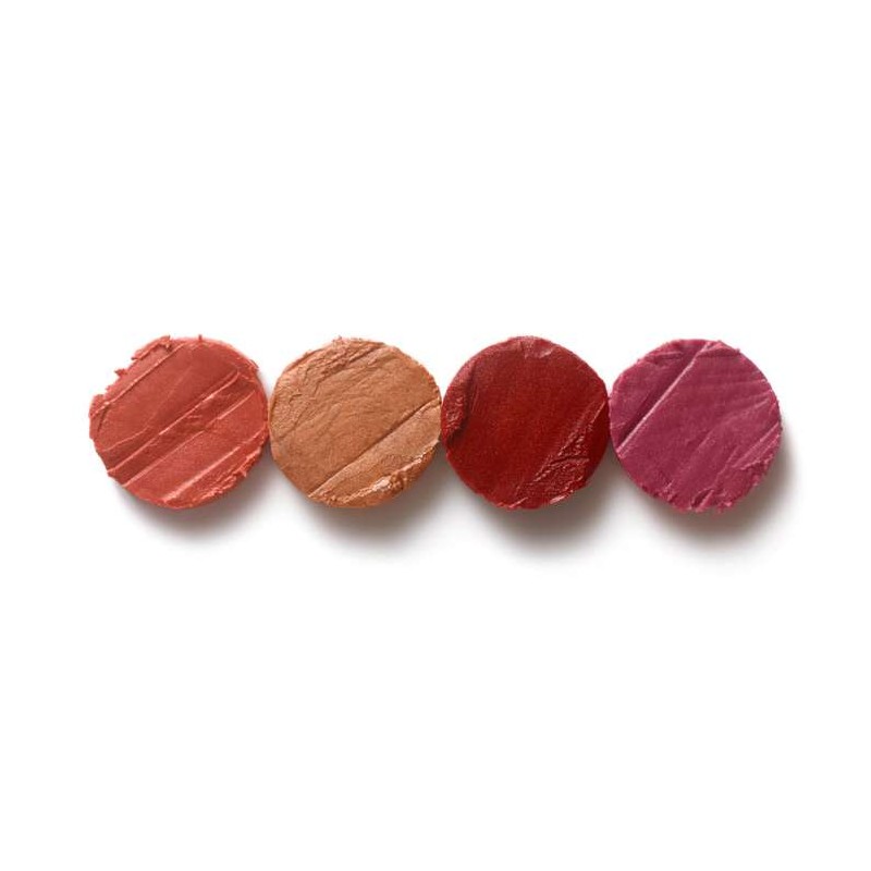 NUEVO Stick Labios y Mejillas Dr. Hauschka (4 colores)