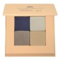 Paleta 4 Sombras Silver Blue Alkemilla