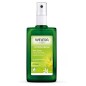 Desodorante spray Citrus Weleda 100 ml.