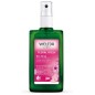 Desodorante spray Rosa Weleda 100 ml.