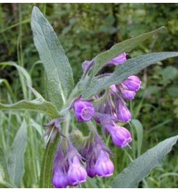 Bálsamo Consuelda Mayor Intensivo Herbalgem 30 ml.