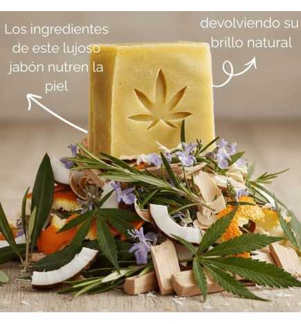 Jabón de CBD 200 mg y Aceite de Oliva Virgen Extra Di Oleo 120 gr.