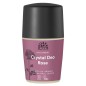 Desodorante roll-on Rosa Urtekram 50 ml. Desodorante roll-on Rosa Urtekram 50 ml.