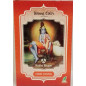 Henna Cobre Natural Radhe Shyam 100 grs.