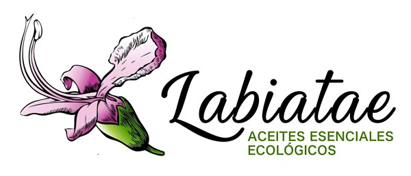 Labiatae